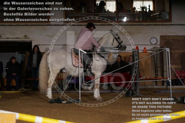 b_K3F09920.jpg